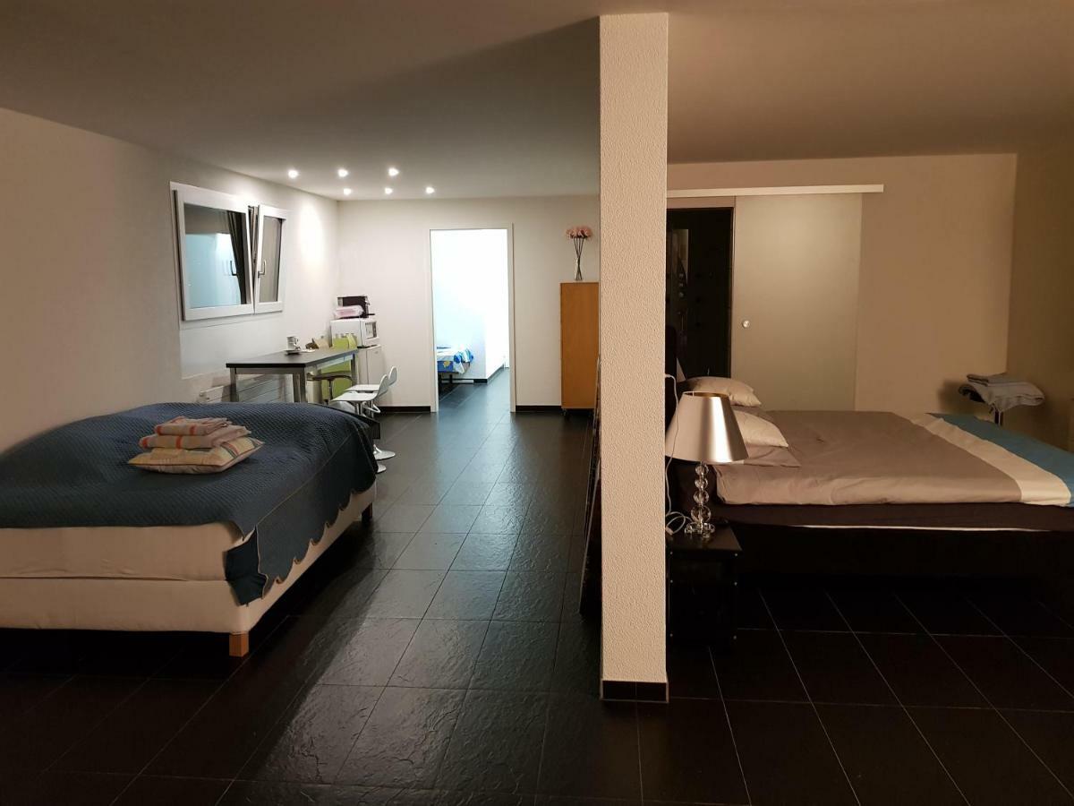 Nice Apartment In Horgen Near Lake And Pool Luaran gambar