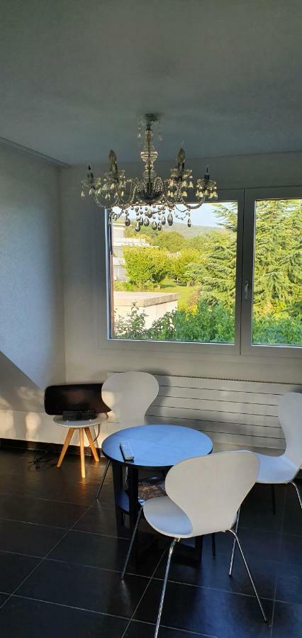 Nice Apartment In Horgen Near Lake And Pool Luaran gambar